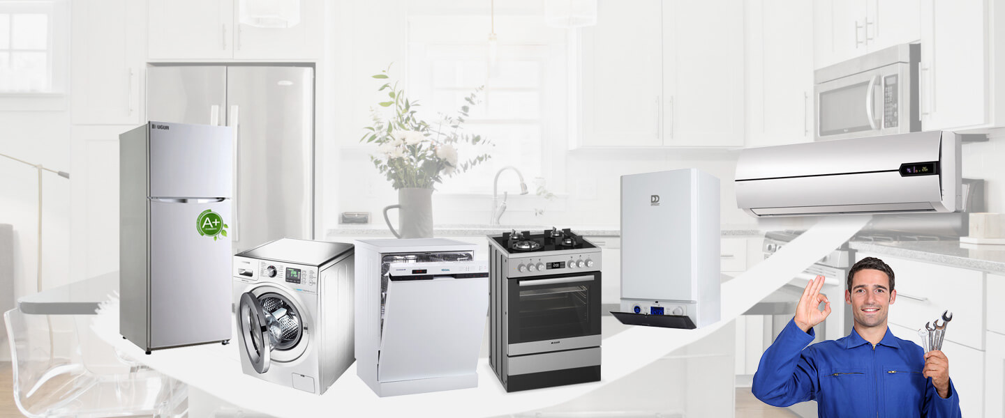 Gölmarmara Protherm Servisi